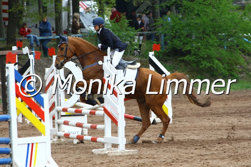 005L3961_Elvis_Stil A.JPG